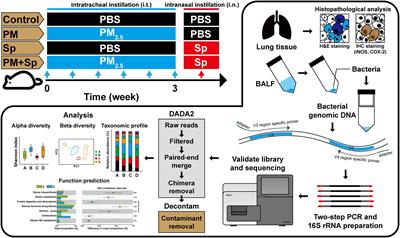 Fine Particulate Matter Exposure Alters Pulmonary Microbiota Composition and Aggravates Pneumococcus-Induced Lung Pathogenesis